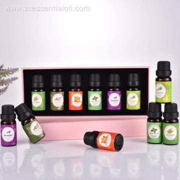 Hot selling essential oil set 6x10ml